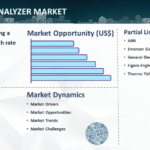 Gas Analyzer Market