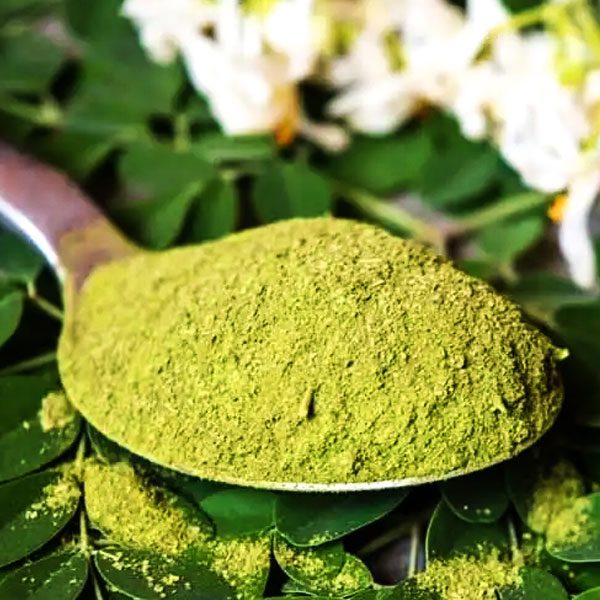 Senna Leaves Powder: A Natural Way to Support Your Wellness Journey