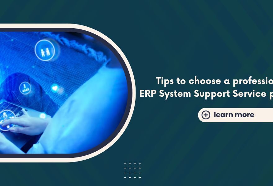 Tips to choose a professional ERP System Support Service provider