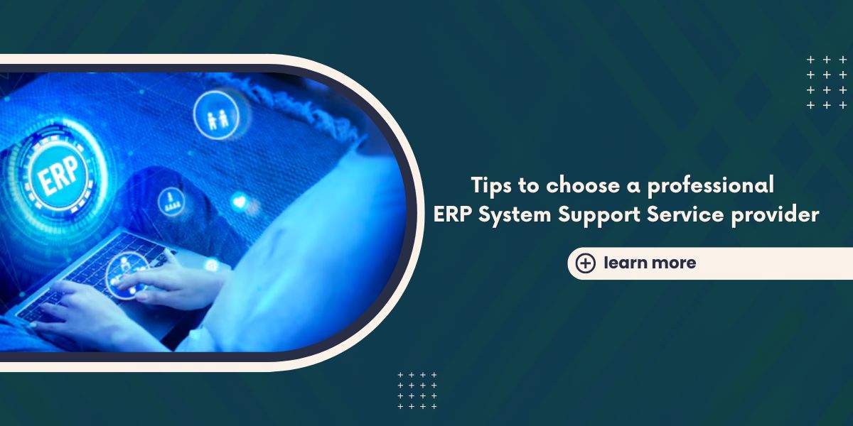 Tips to choose a professional ERP System Support Service provider