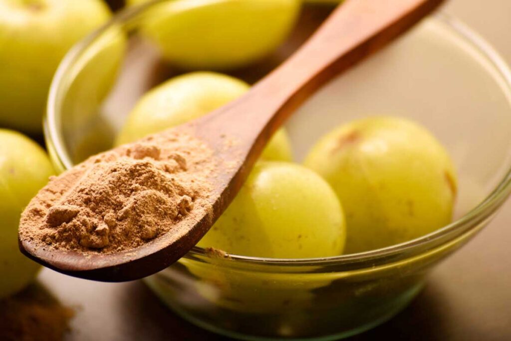 Amla Powder vs. Vitamin C Supplements: Which is Better for Your Health?