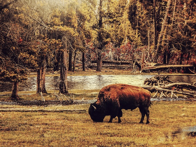 Buffalo Pound Provincial Park