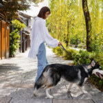 dog walkers prices in new orleans