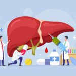 Liver Function Disease And Treatment