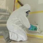 What types of protective gear are necessary for safe mold removal?