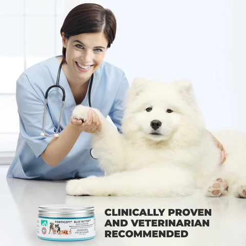 wound care spray for dogs