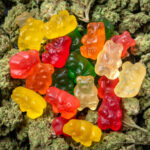 Ontdek THC Gummies: Een Diepgaande Kijk op Dit Populaire Product