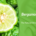 Bergamot: The Citrus Chameleon Conquering Kitchens and Vanities