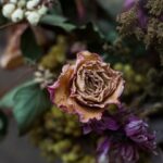 Dried Flowers in Melbourne