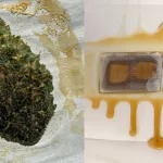 Flower Rosin vs. Hash Rosin: An Enthusiast’s Guide