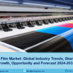 Graphic Film Market  Demand, Key players Analysis and Forecast 2024-2032