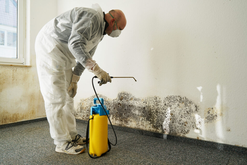 Mold remediation company