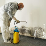 Mold remediation company