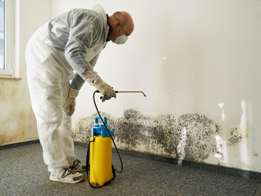 Mold remediation company