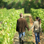 Why Wine Country Tourism Is The Perfect Getaway For Wine Lovers?