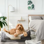 Discovering Sir Archers: Elevate Your Pet’s Comfort with Premium Dog Beds