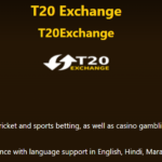 T20exchange Game: A Beginner’s Path to Mastery