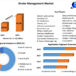 Stroke Management Market Future Dynamics: Examining Trends, Size, and Forecasting in 2029