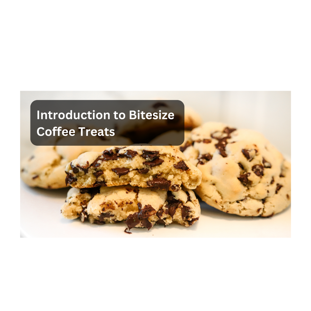 Introduction to Bitesize Coffee Treats