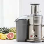 Commercial Juicer