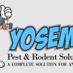 Pest control services in Glen Ellyn, IL