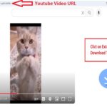 YouTube Thumbnail Downloader Chrome Extension