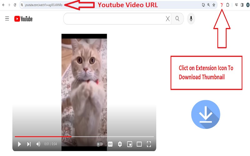 YouTube Thumbnail Downloader Chrome Extension