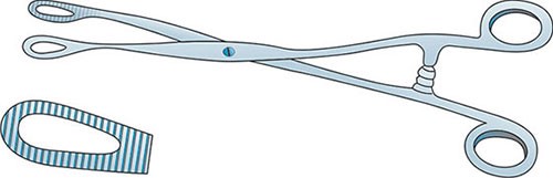 forceps