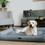 Discover the Perfect Blend of Comfort and Durability with Sir Archers Dog Beds