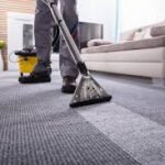 Comprehensive Guide to Area Rug Cleaning in New Westminster