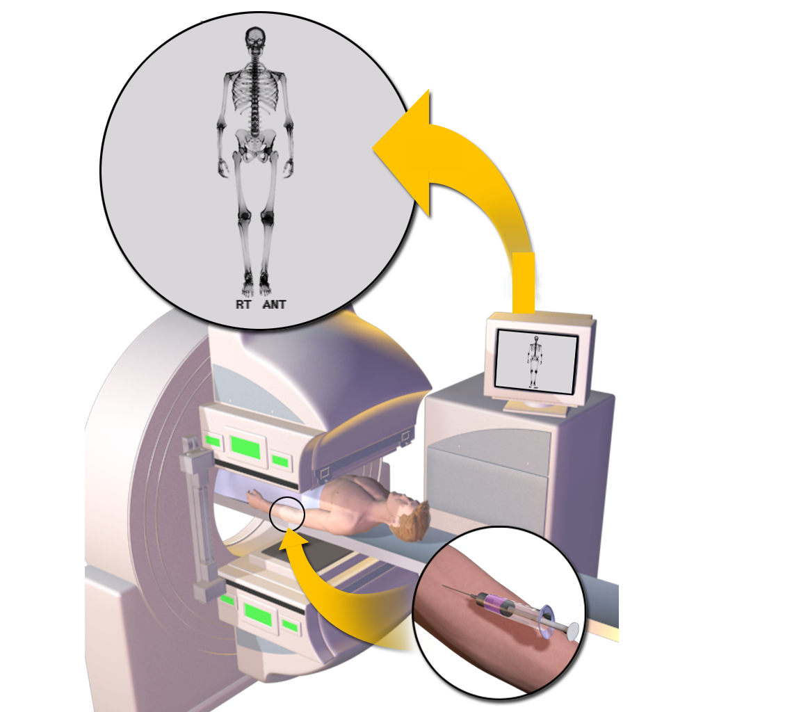 The Future of Medical Device Animation: Trends and Innovations Shaping the Industry