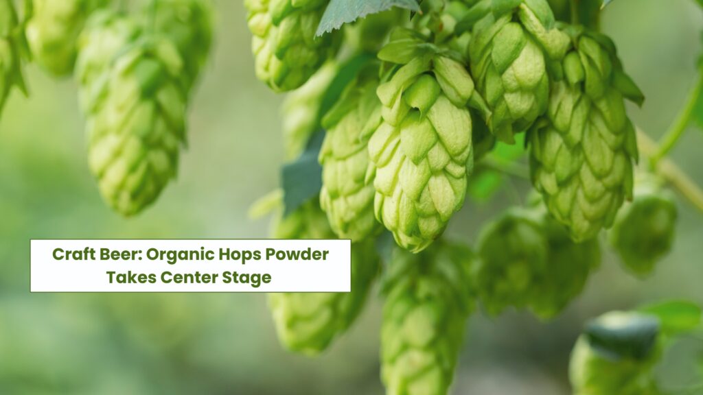 Organic Hops Flower Powder in craft Brewing