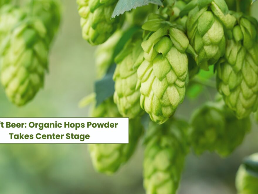 Organic Hops Flower Powder in craft Brewing