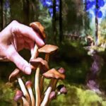 Know About The Growing Popularity of Psychedelic Mushroom Kits on Reddit: A Community-Driven Guide