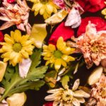 The Role of Flowers in Different Cultures