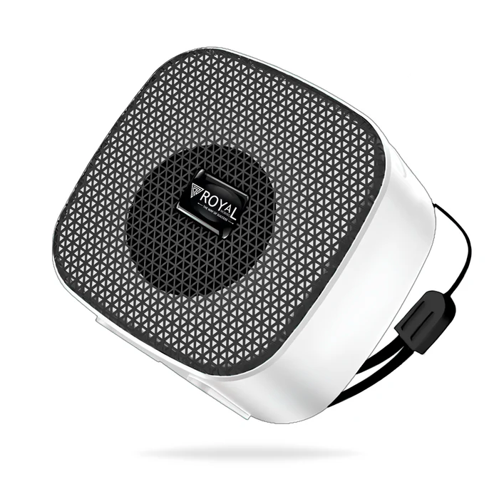 bluetooth speaker under 500