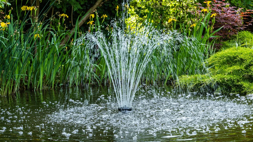 Energy-Saving Tips for Pond Maintenance