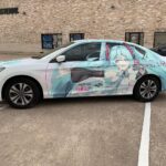 Fleet Wraps