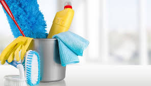 7 Stunning Tips to Maintain Hygiene in Your House