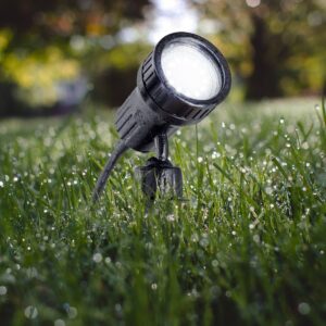 Garden Lights