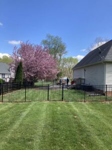 Fence Installation 