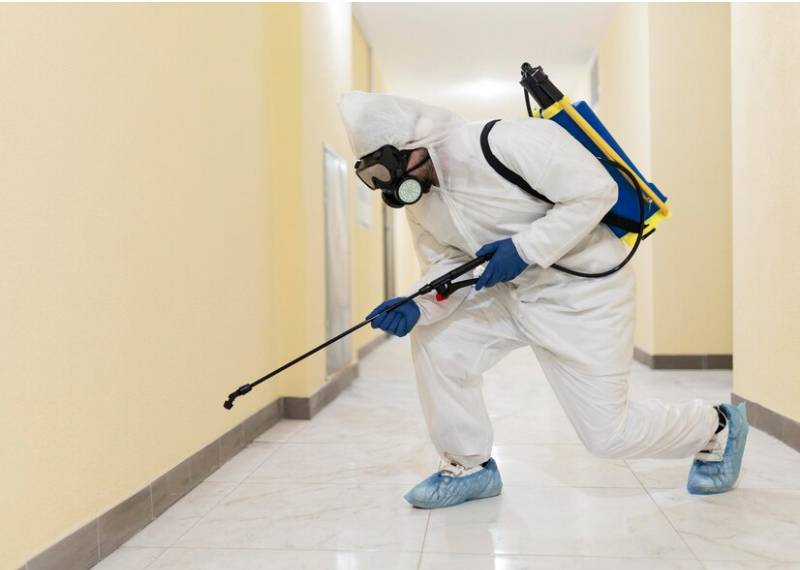 Bed Bug Exterminator In Vaughan