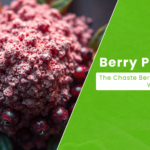 Berry Powerful: The Chaste Berry Revolution in Women's Health