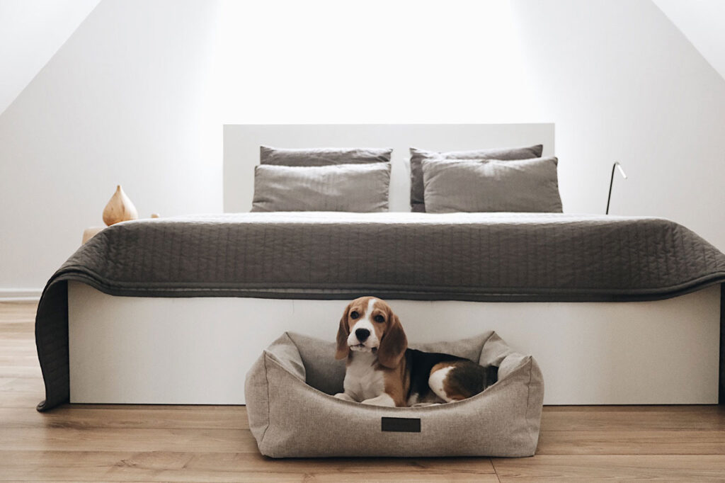 The Ultimate Comfort: Choosing the Best Orthopedic Dog Bed for Your Pet