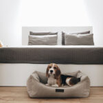 The Ultimate Comfort: Choosing the Best Orthopedic Dog Bed for Your Pet