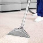 Elevate Your Home’s Air Quality with Carpet Cleaning