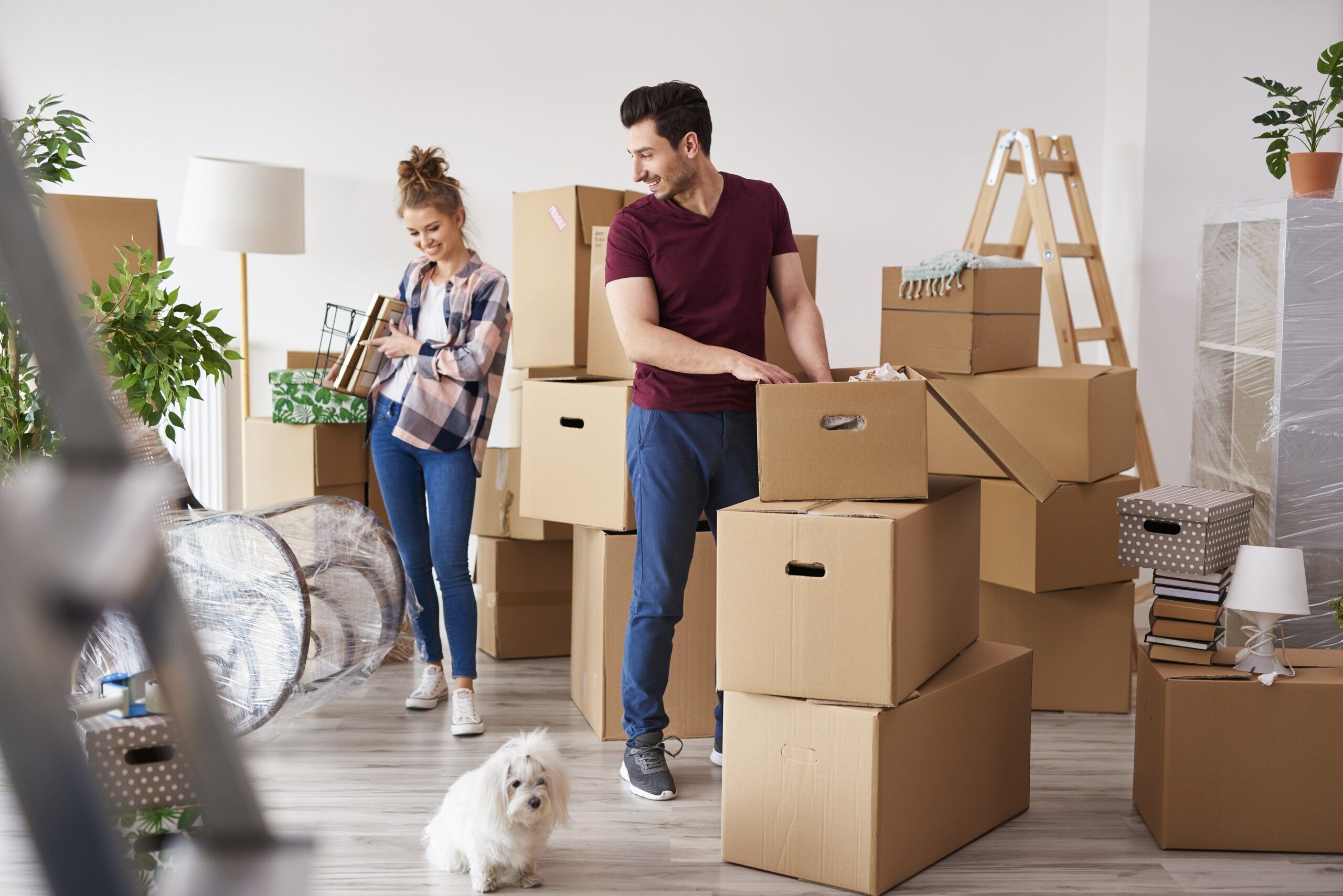 house moving services