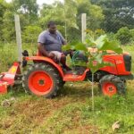 Unlocking Agricultural Potential with The Role of Mini Tractors and Rotavators