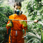 Eco-Friendly Pest Control Solutions: Safe for Your Family and Pets