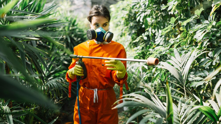 Eco-Friendly Pest Control Solutions: Safe for Your Family and Pets